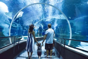 AquaRio Rio de Janeiro